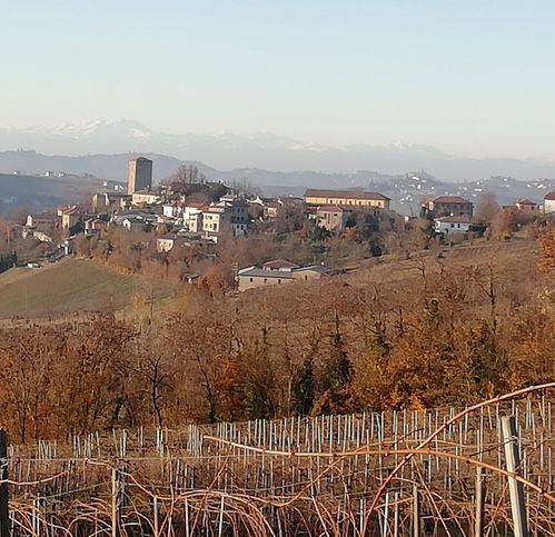 Terreno agricolo strada provinciale 42, santa maria della versa