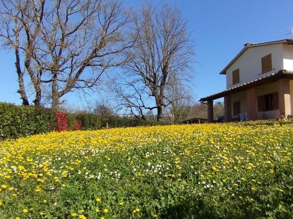 Villa unifamiliare via rimembranze 8, centro, amelia