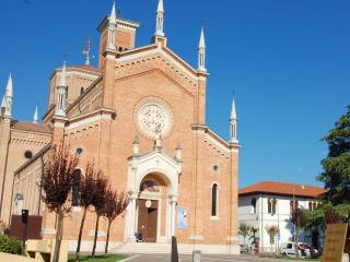Zona