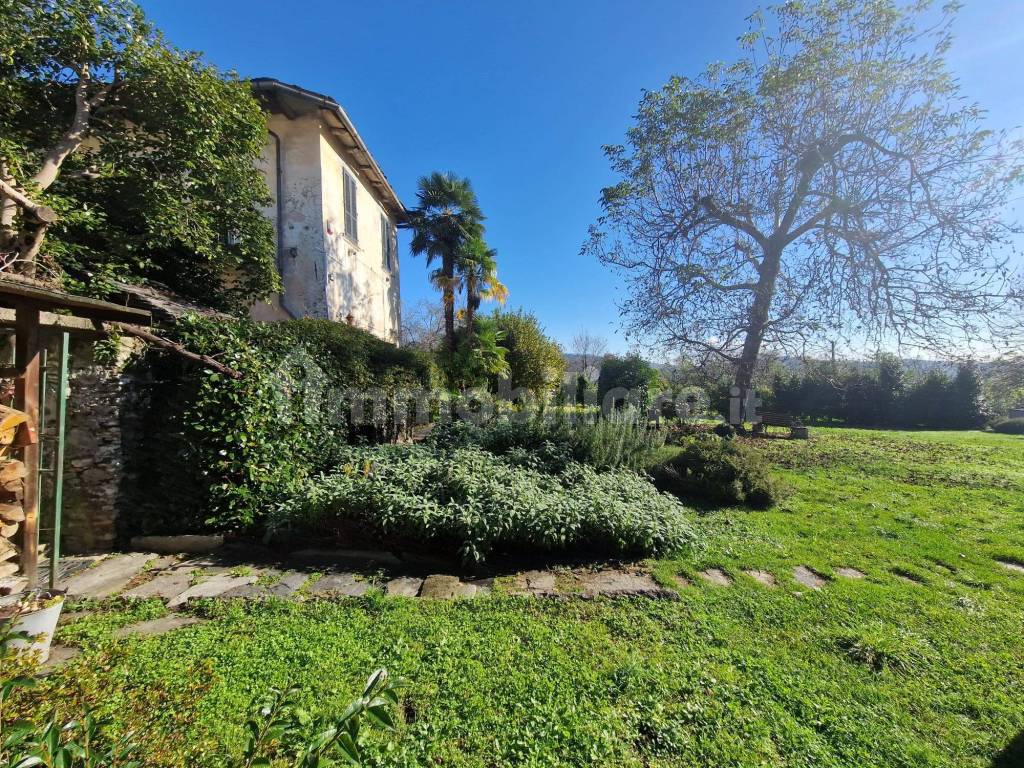 Giardino