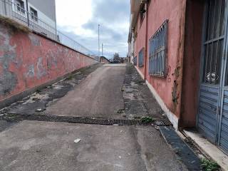Zona