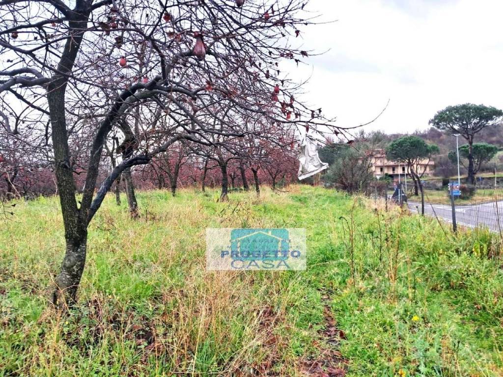 Terreno agricolo, somma vesuviana