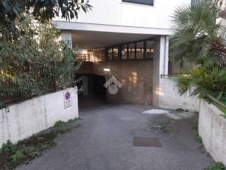 Zona