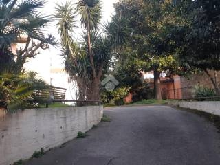 Zona