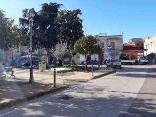 Zona