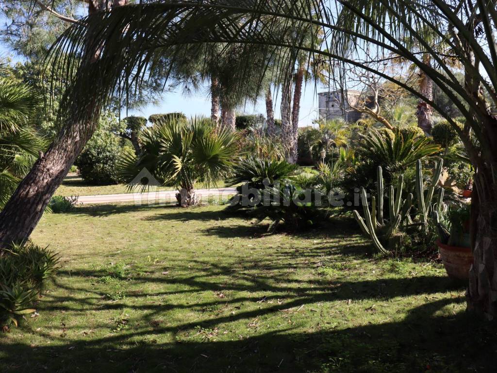Giardino