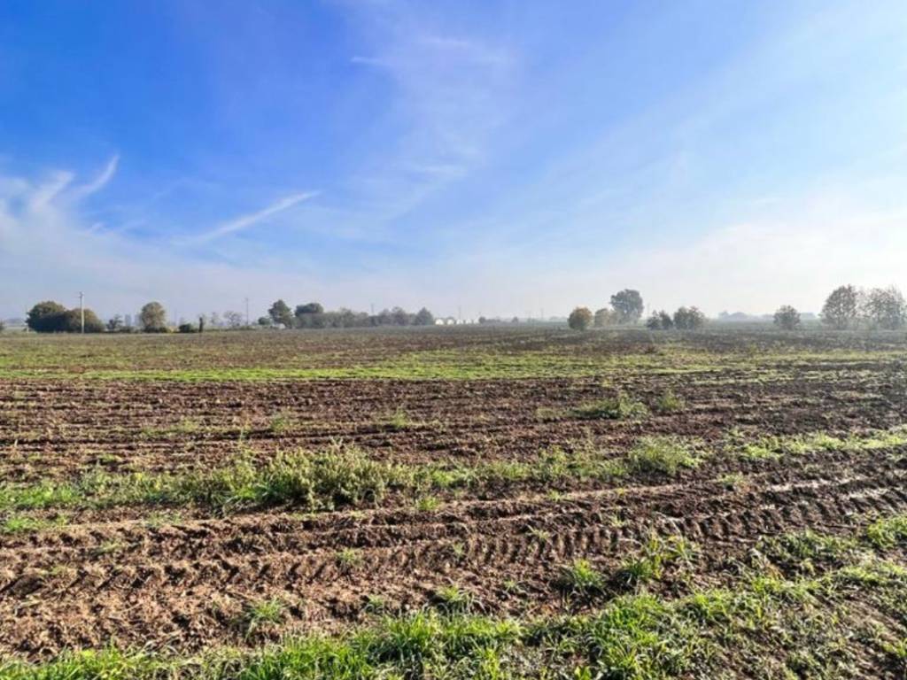 Terreno agricolo via roma, centro, ceresara