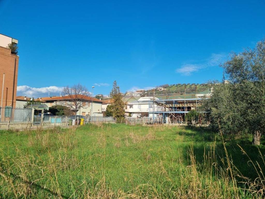 Terreno