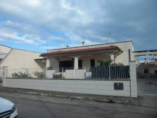Zona