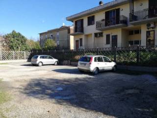 Zona