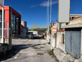 Zona
