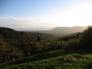Vista