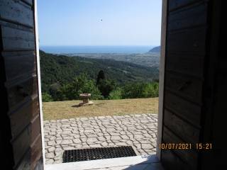 Vista