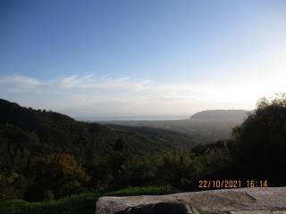 Vista