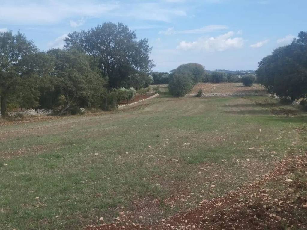 Terreno non edificabile san marco san c., locorotondo