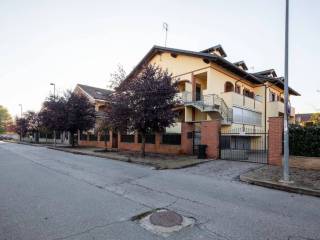 Zona