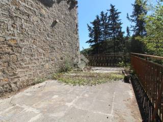 Zona