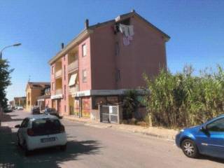 Zona