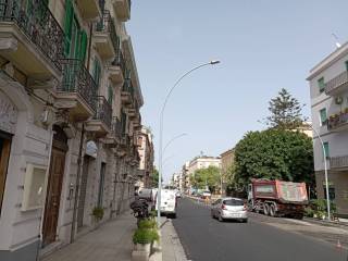 Zona