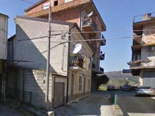 Zona
