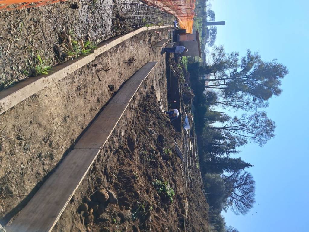 Terreno