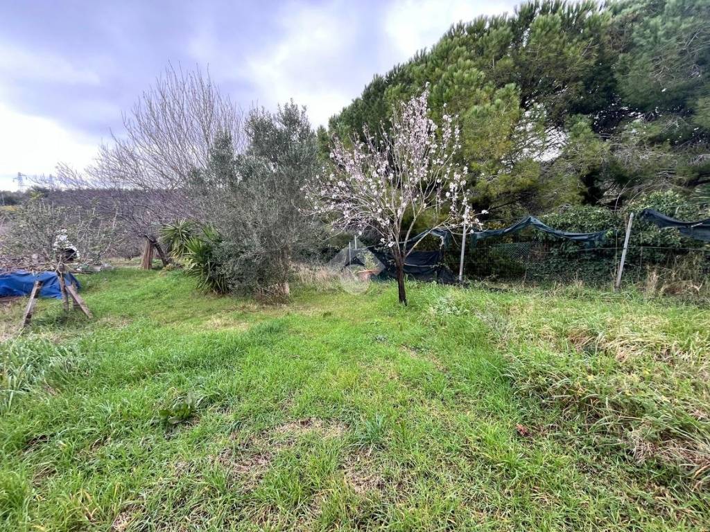 Terreno agricolo via del limoncino 13, limoncino - valle benedetta, livorno