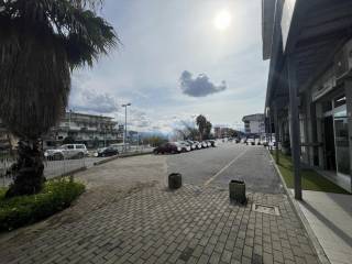 Zona