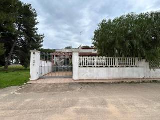 Zona
