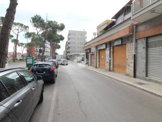 Zona
