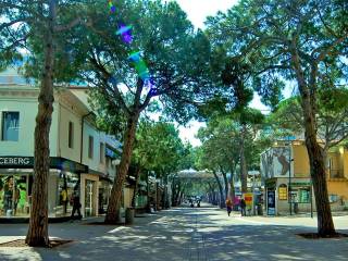 Zona