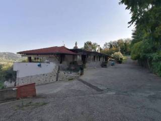 Zona