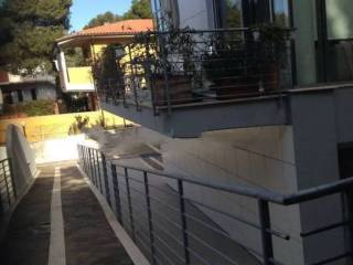 Zona