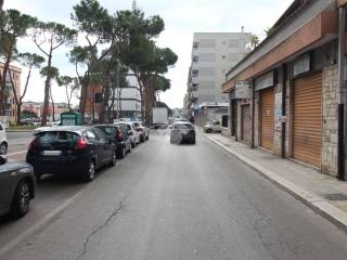 Zona