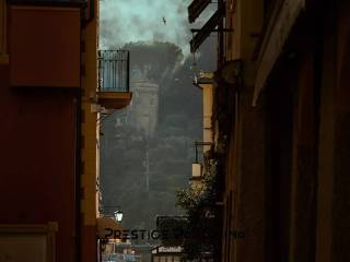 Zona