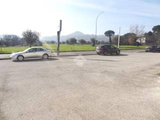 Zona