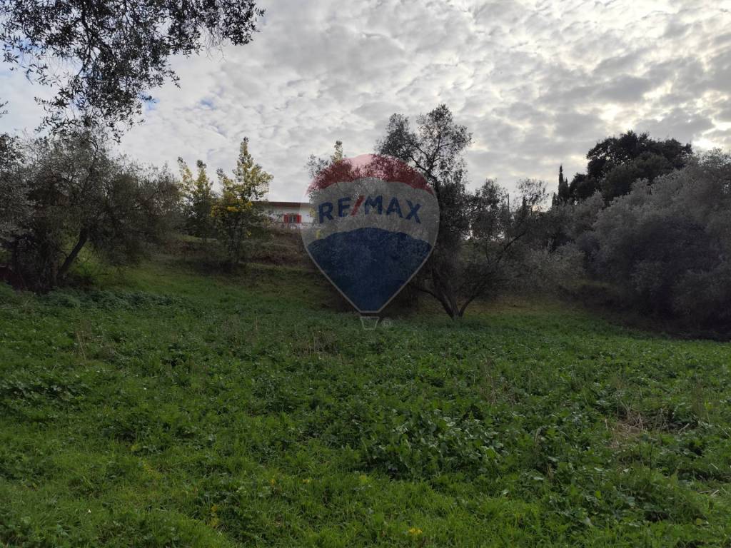 Terreno agricolo vie delle begonie, cogna, aprilia