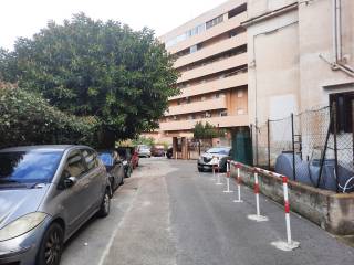 Zona