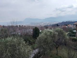 Vista