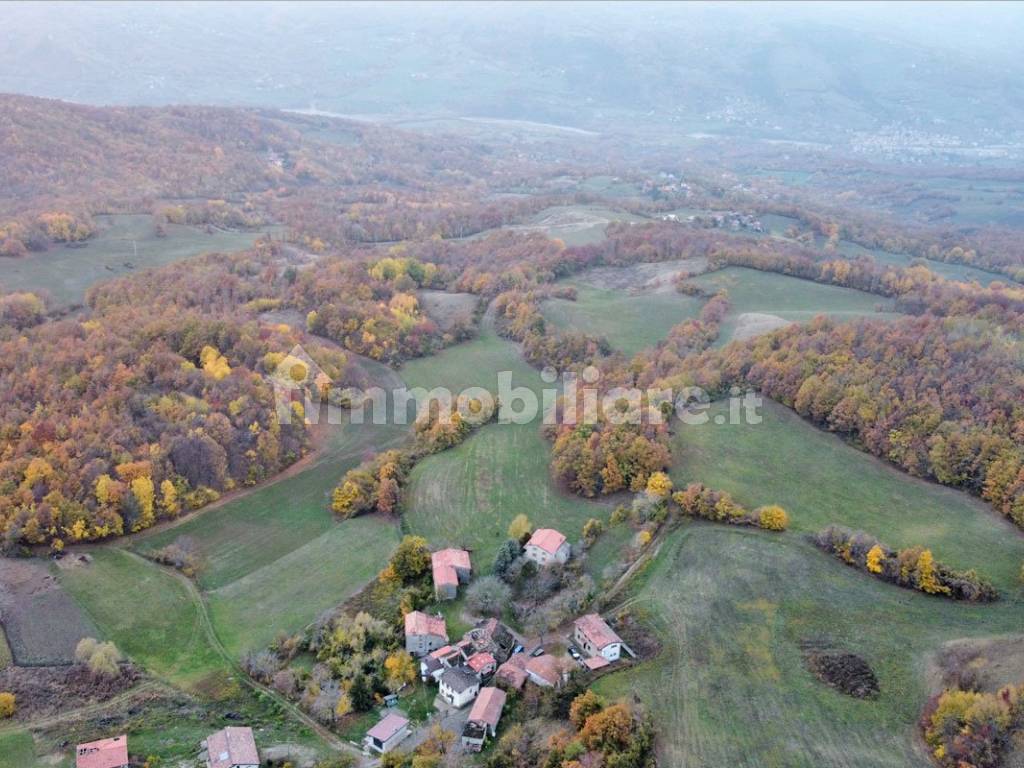 Vista