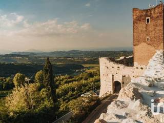 Vista