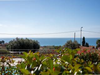 Vista