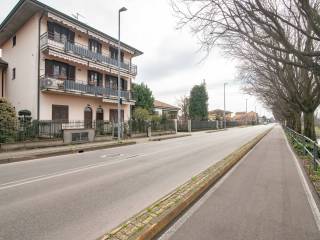 Zona