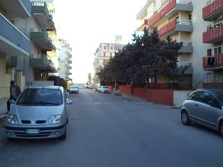 Zona