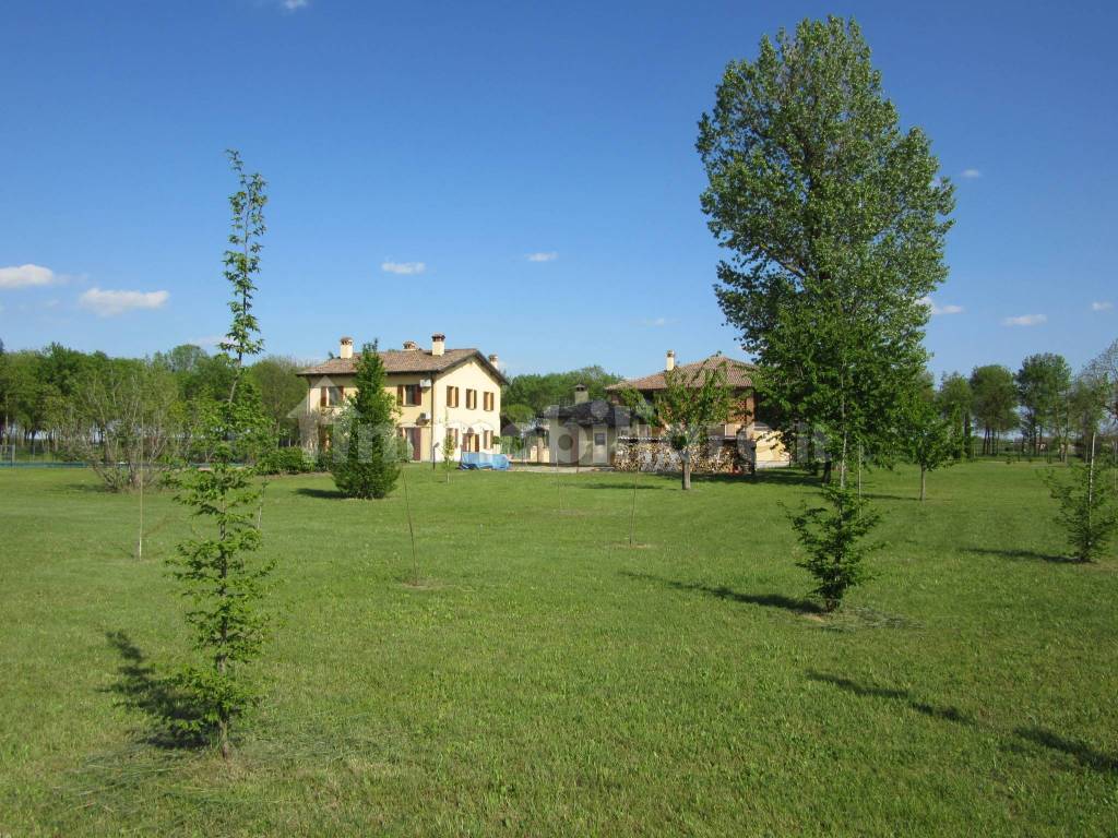 Terreno