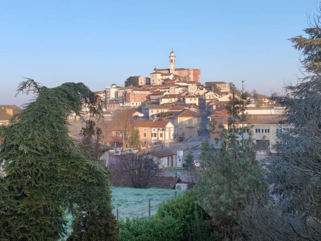 Vista