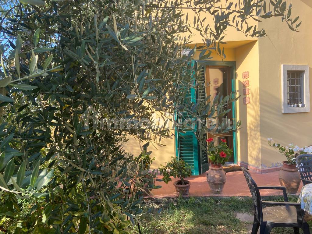 Giardino