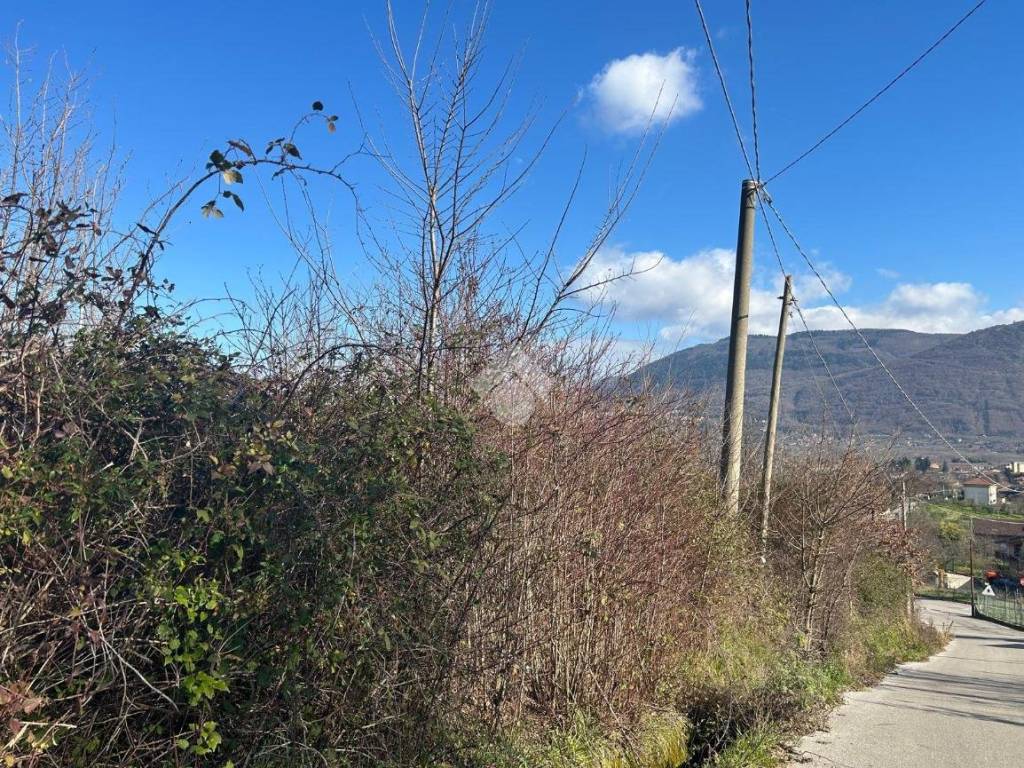 Terreno