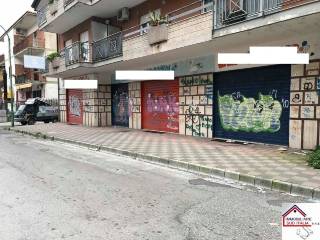 Zona
