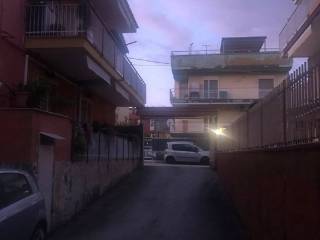 Zona