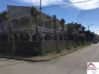 Zona